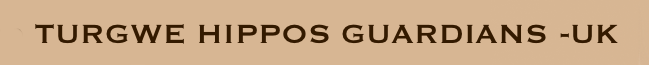 Turgwe Hippo Guardians